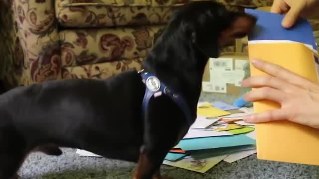 Crusoe Opens Fan Mail - Part 2