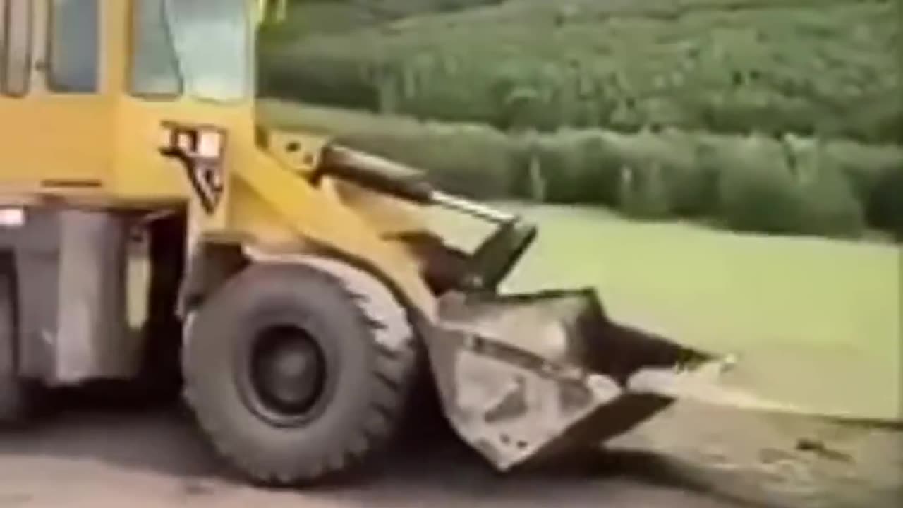 world funny clipe !