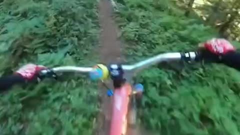 Cross-country mountain bike riding