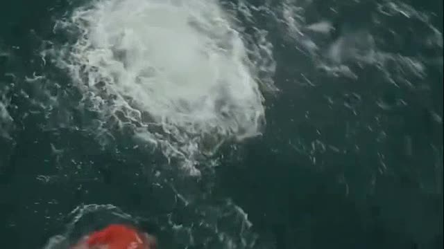 1290# The best cliff diving closeup shots to make your day shortsBGUJaXERHKs