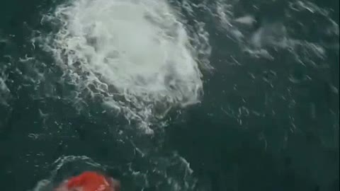 1290# The best cliff diving closeup shots to make your day shortsBGUJaXERHKs