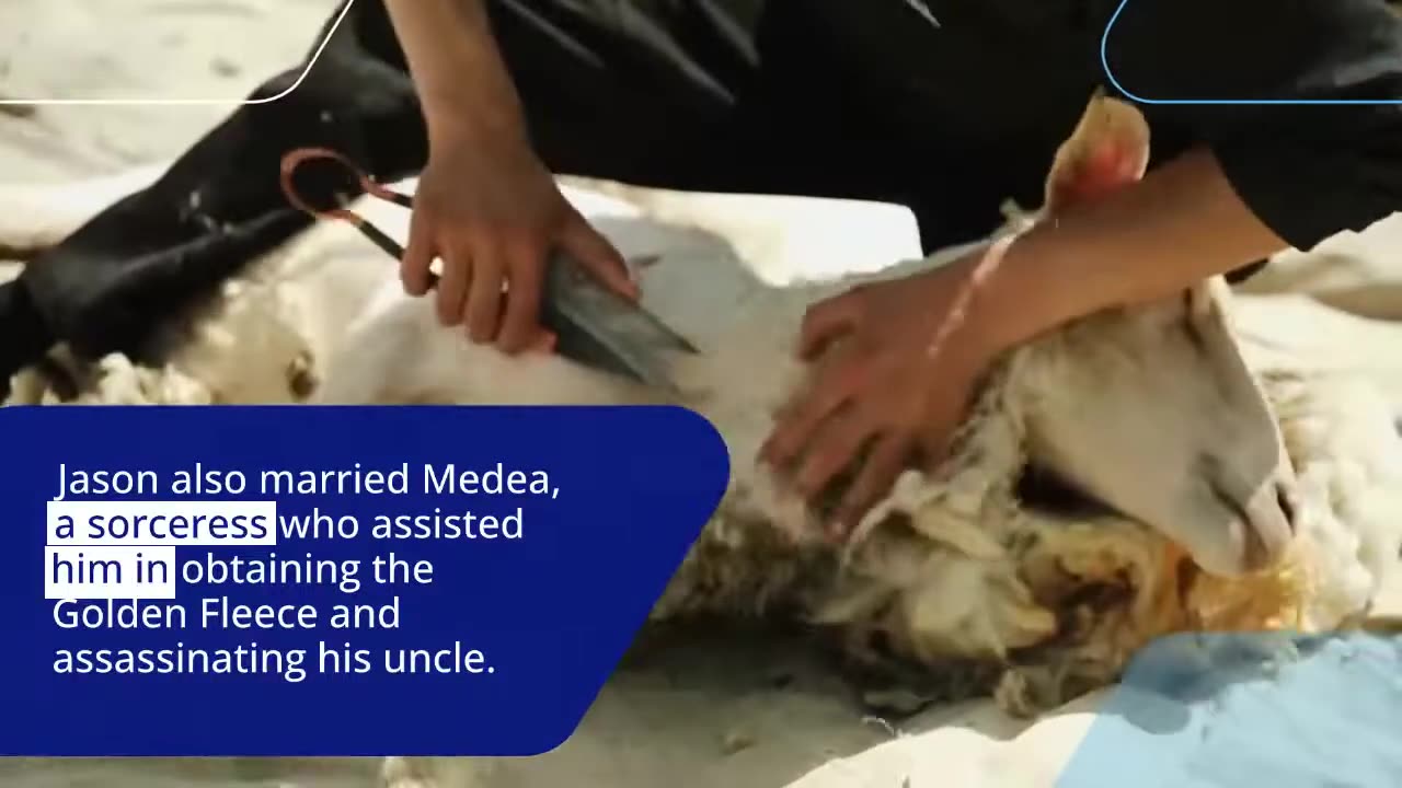 Facts about the name Jason.