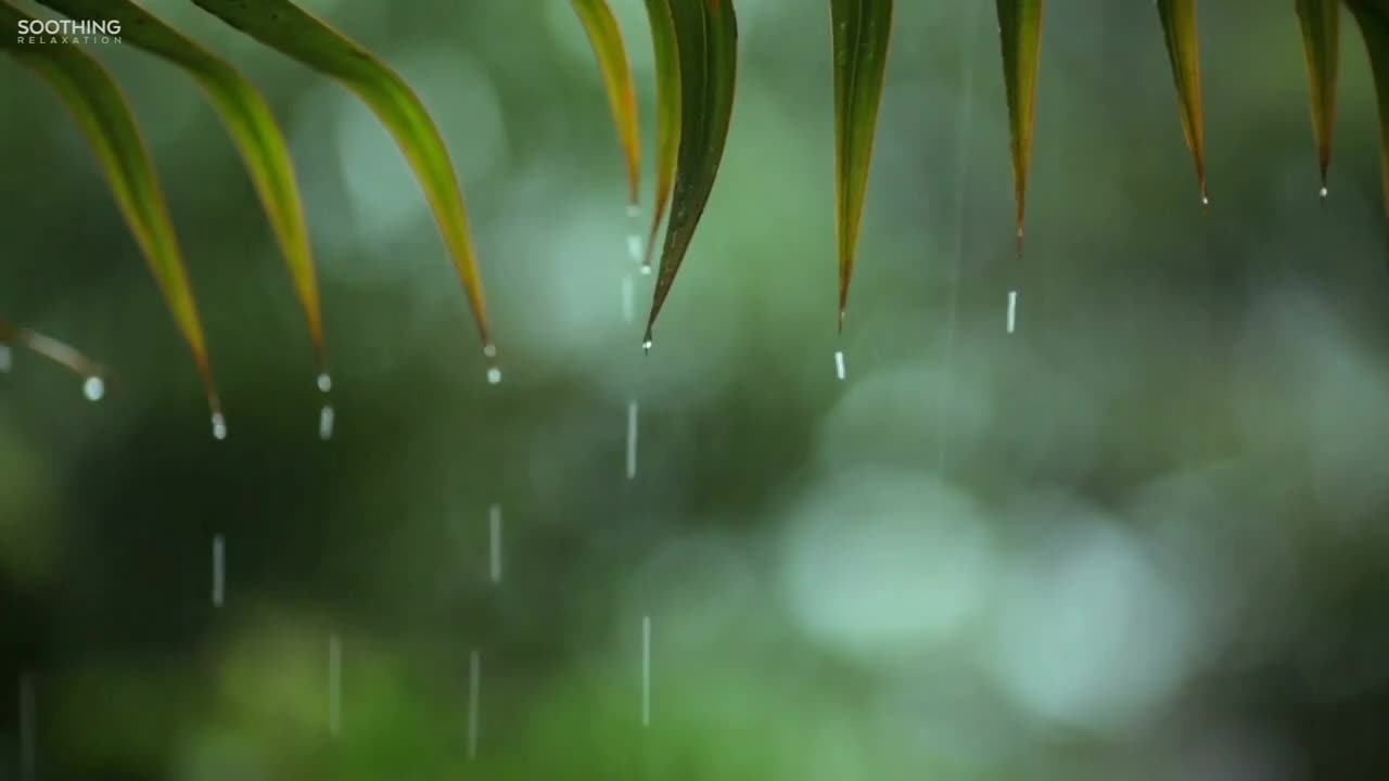 Relaxing Music & Rain Sounds - Beautiful Piano Music, Background Music, Sleep Music • You & Me.mp4