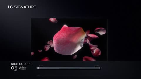 LG SIGNATURE OLED TV W - Vivid color to make every scene more real.