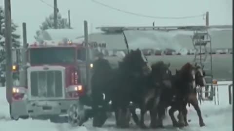 Horse Power. That's actually real.