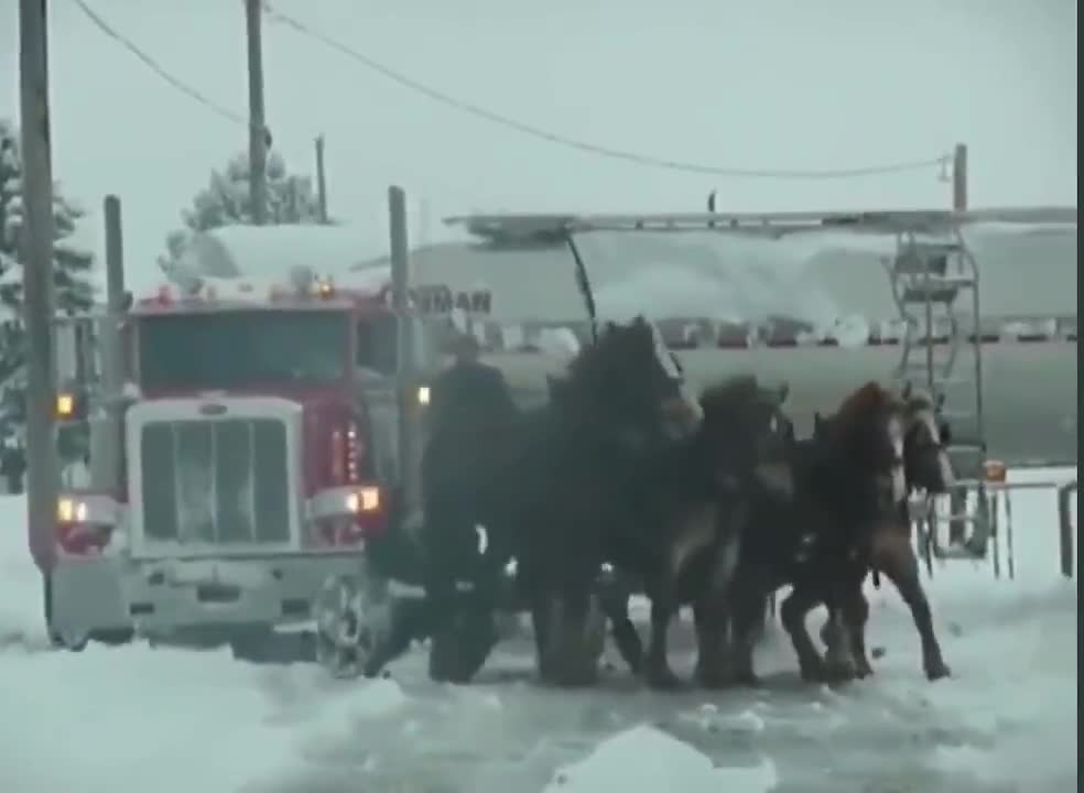 Horse Power. That's actually real.