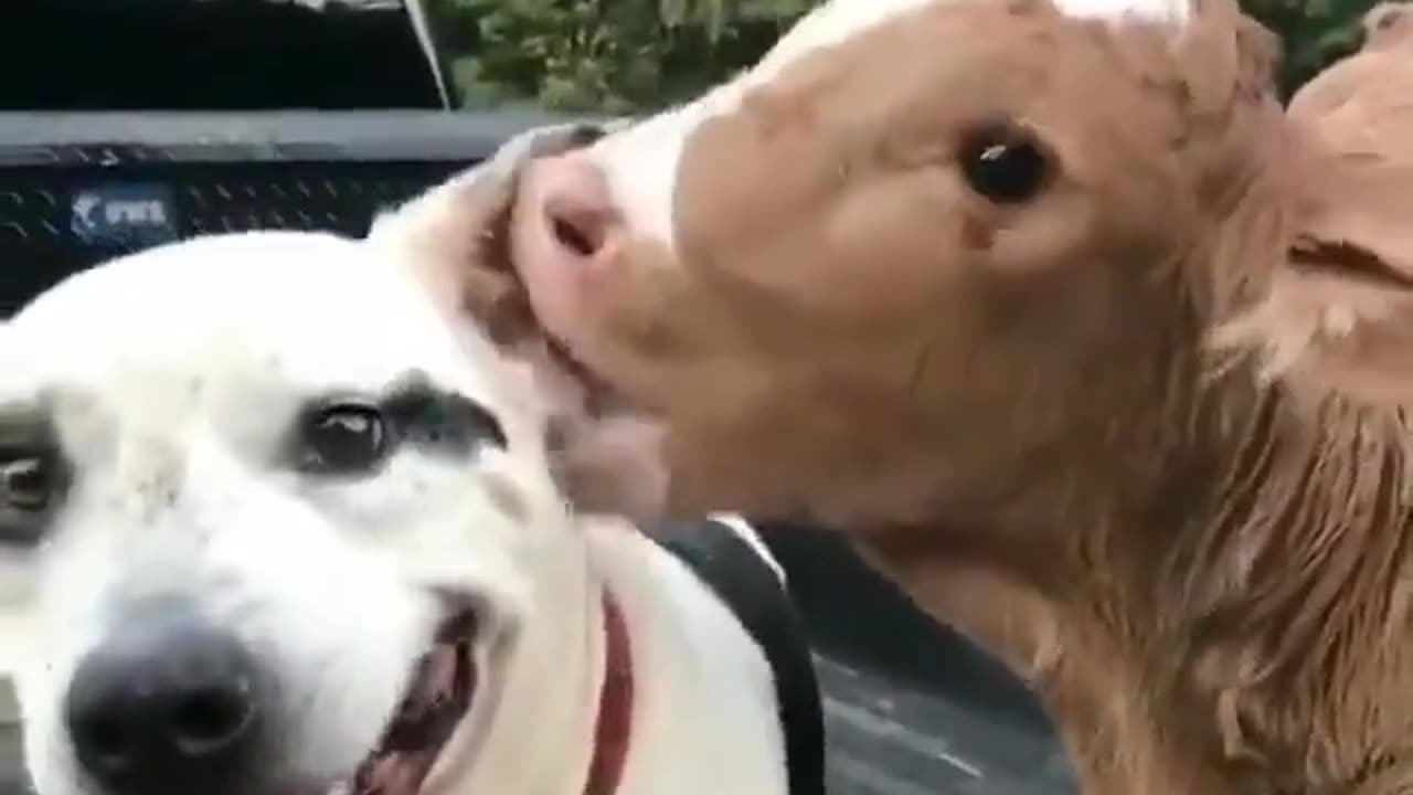 Best friends