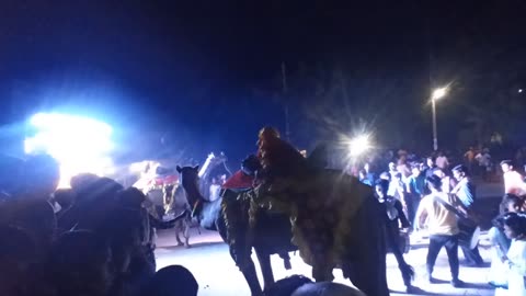 Camle dance