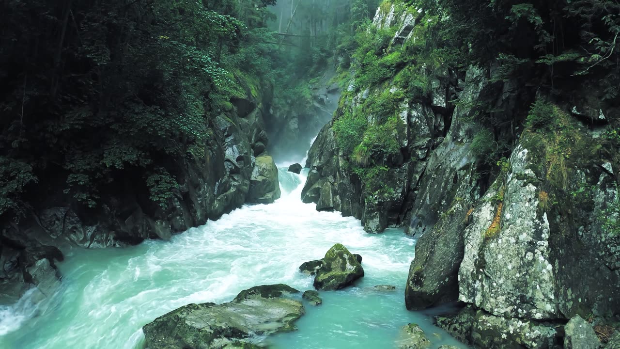 Streaming Water from Rainforest