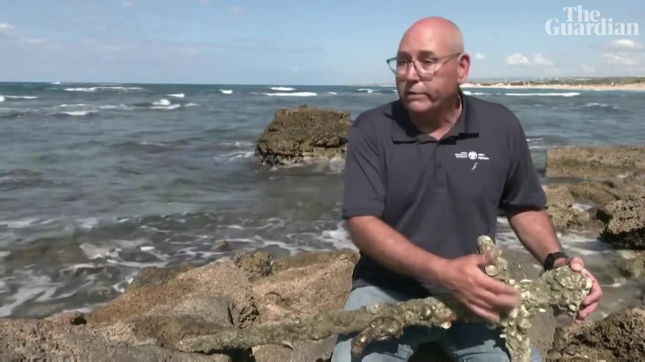 Diver uncovers ancient crusader sword from Israeli seabed