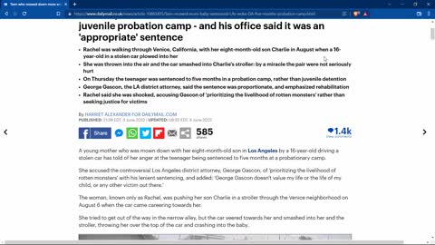 LA mom got ran over and the perp got 5 months probation