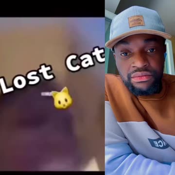 Lost cat