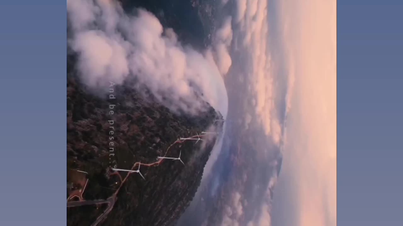 Nature video