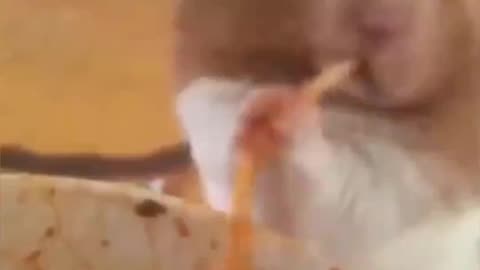 Try not to laugh 😂