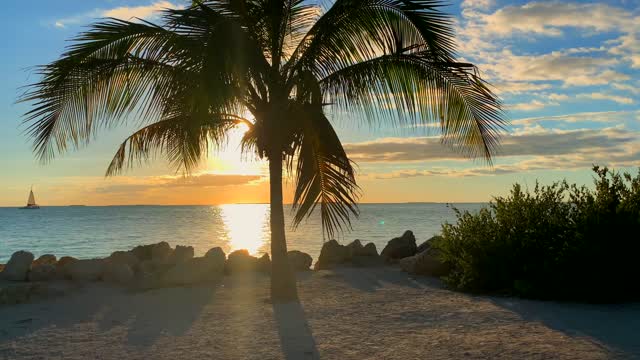 A Beautiful View of a Sunset at a beach