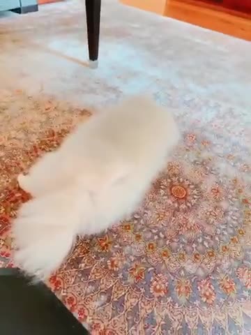 6sNXtUXvhJ2CHaG9fyDctN