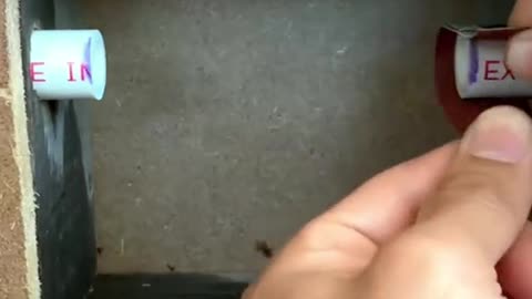 Lifehacks sticky life hack