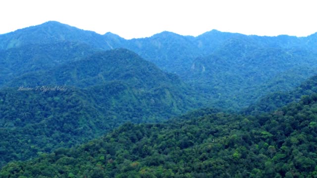 SUMATRA BARIAN HILL FOREST