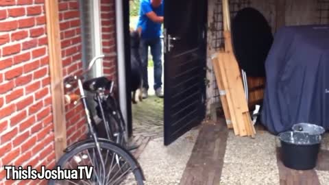 Girl Reunites With Pet Lion After 8 YEARS..