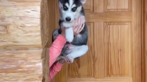 Sooo cute 🥰
