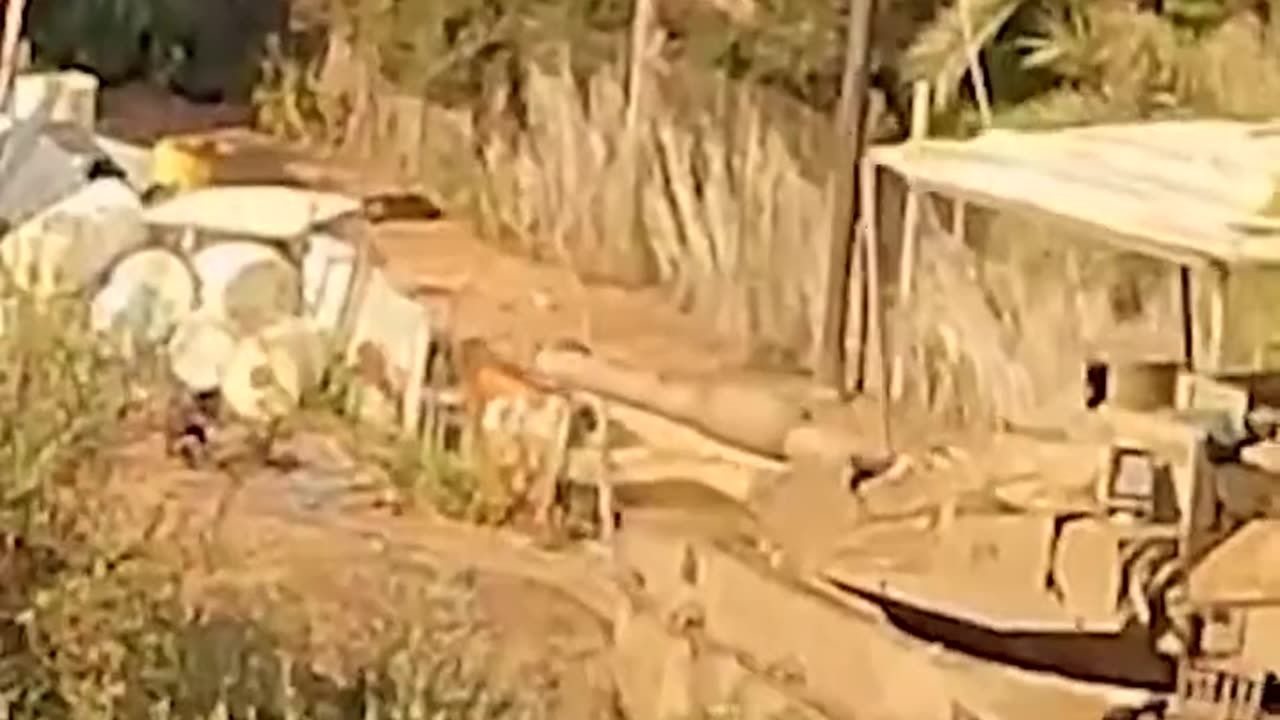 A Mother plants an explosive device on an Israeli tank