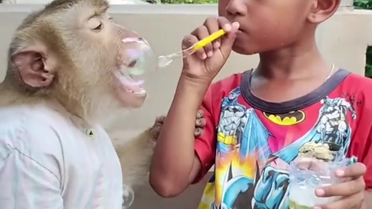 Boy in monkey entertainment video