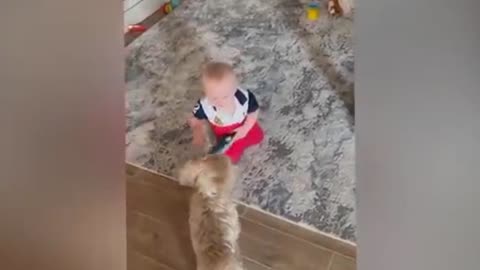 Funny cute dog 🐕 and funny babies video 😂😁