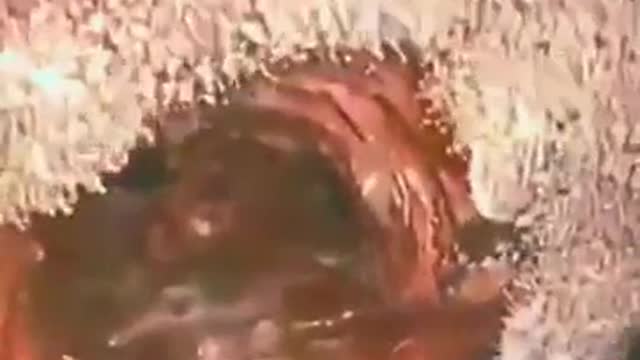 ENDOSCOPIA REVELA ÓXIDO DE GRAFENO DENTRO DO CORPO 💉☠