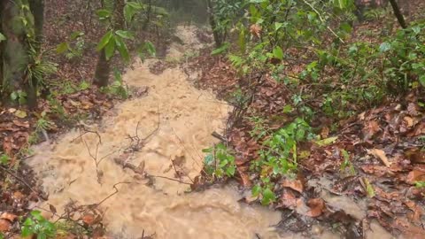 Hiking during heavy rain