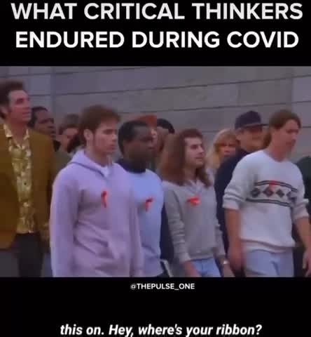 Ribbon Bully | Perfect & Exactly How People Were Treated in 20/21