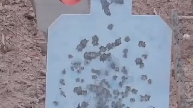 Firearm training with. 22LR