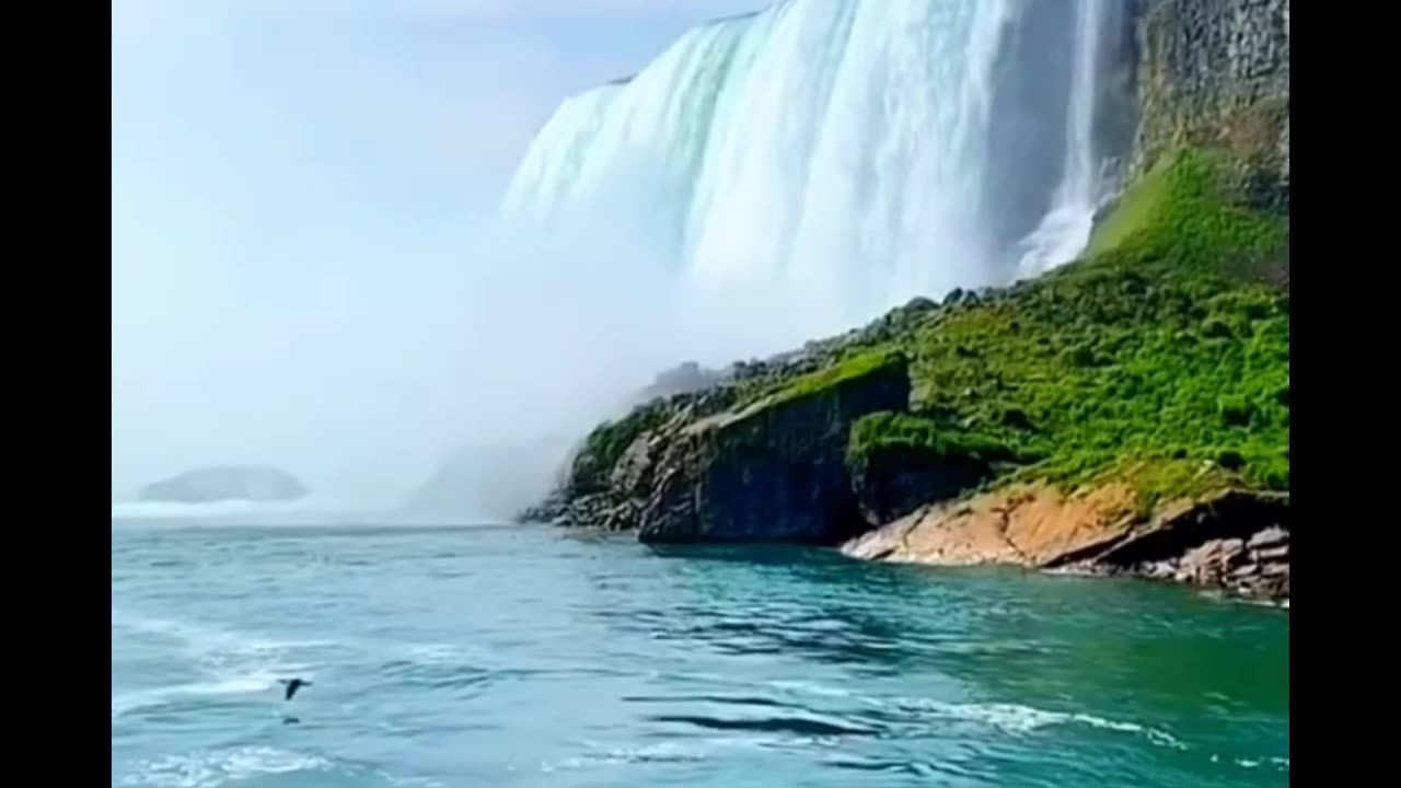 Beautiful impressive creations