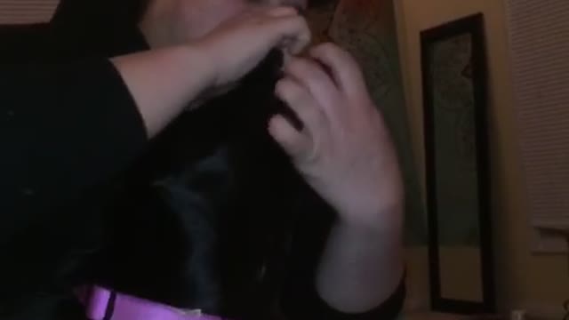 Bubba plays with Maya