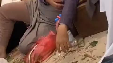Cobra fake prank