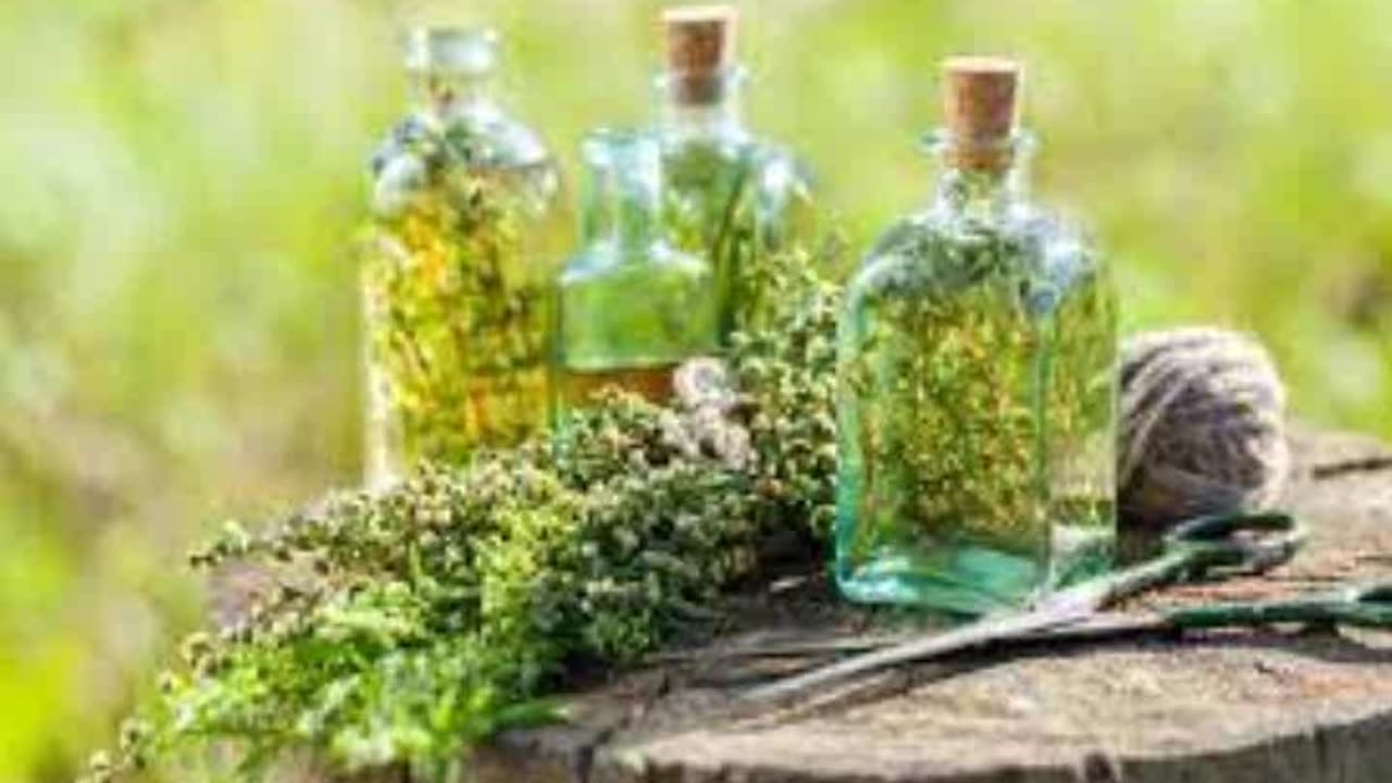 Herbal Oils