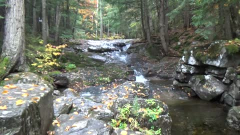 Cascade