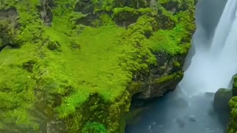 Nature beauty