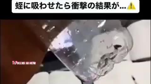 Your blood is garbage vaxxed people - Dead after only 3 days