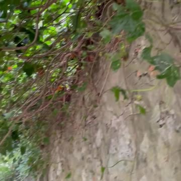 Freedom Cash Geocaching Paper Wallet - Path to a Castle