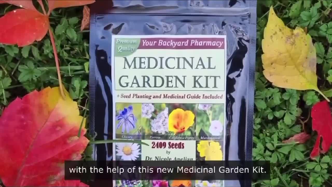 Want a Complete Natural Pharmacy in Your Backyard?