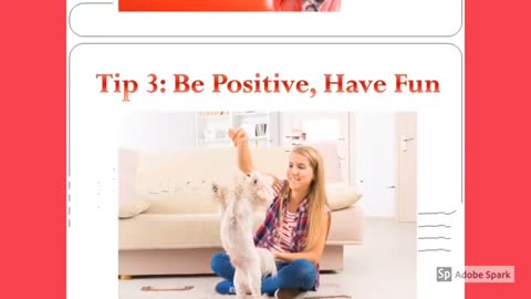 9 Top DOG Training Tips - Dog Training Videos For Beginners