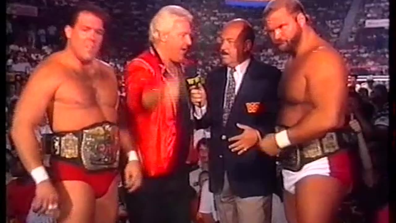 WWF AAW Sep 24 1989