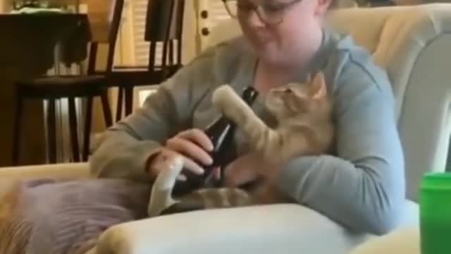 CATS CAN LEARN FROM HUMANS THAT MUCH