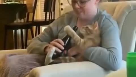 CATS CAN LEARN FROM HUMANS THAT MUCH