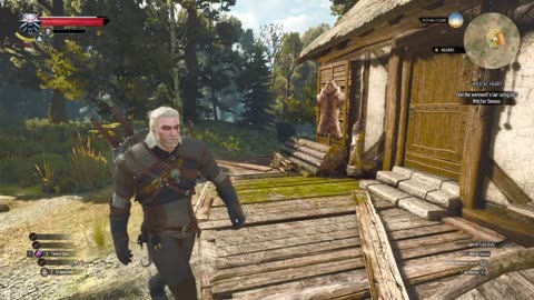 The Witcher 3 - Wild Hunt