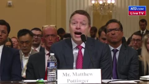 Tin Foil Hats 48✅ Vs Blindfolds 0 💪🐸