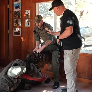 I Spent 72 Hours With Patty Mayo and This Is What Happened