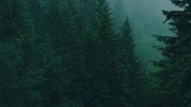 Share with people who like this atmosphere