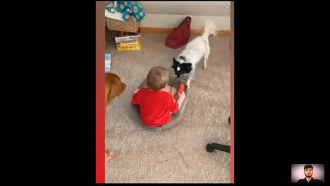 Baby and animals funny video ever 2023