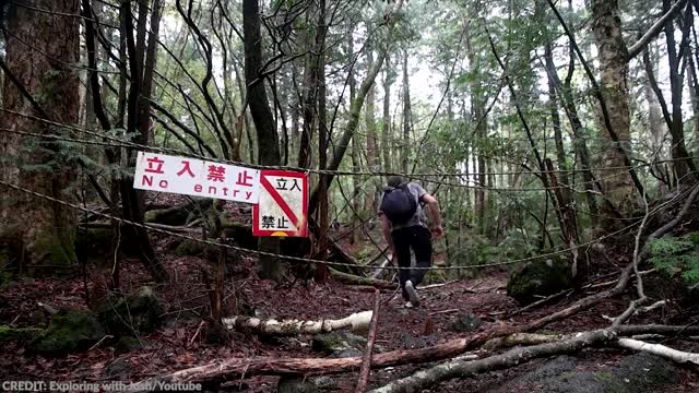 15 Things Humans Were Never Meant To See ~(TopGenerality)